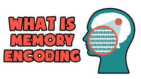 What is Memory Encoding | Explained in 2 min - YouTube