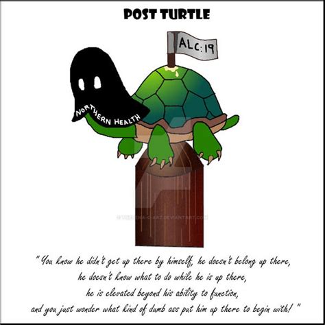 Post turtle by Therena-C-Art on DeviantArt