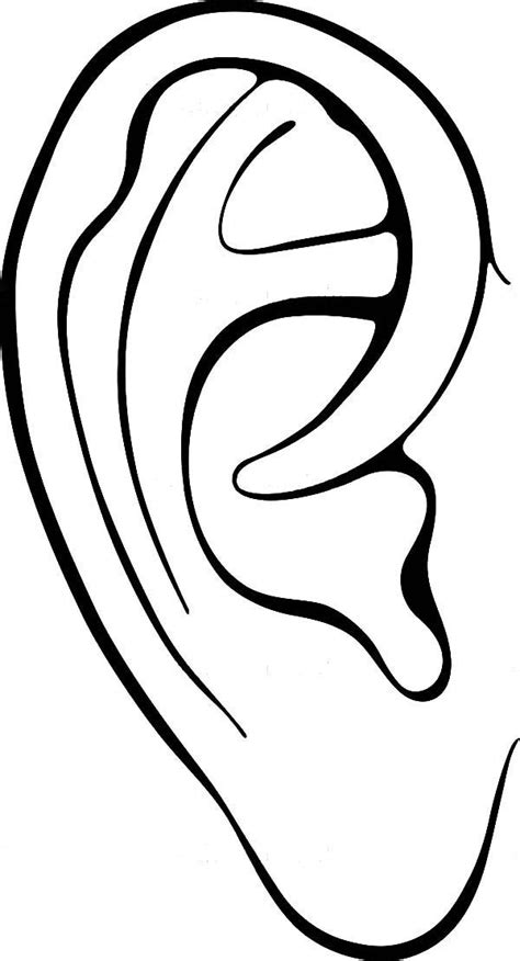 Free Ears Coloring Pages, Download Free Ears Coloring Pages png images ...