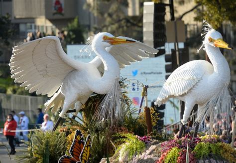 Environmental-themed Rose Parade floats tell us how to ‘make a difference’ – San Gabriel Valley ...