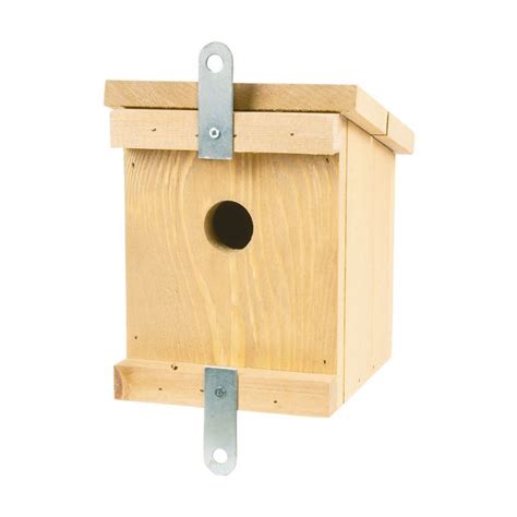 Timber Dormouse Nesting Box | CJ Wildlife