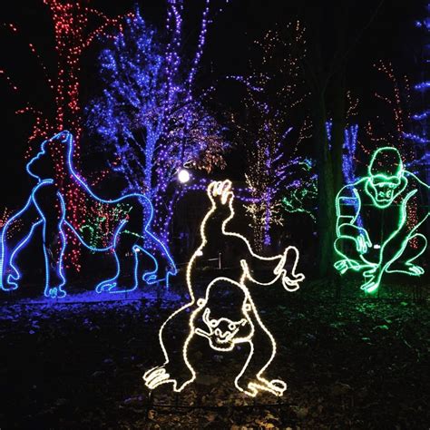 ZooLights Will Light Up Lincoln Park This Year With $5 Tickets And 5 Free Nights