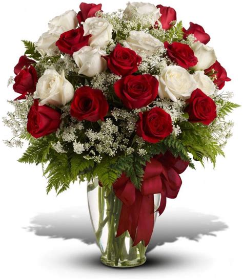 Divine Love Red and White Two Dozen Rose Bouquet - Bridgewater Florist