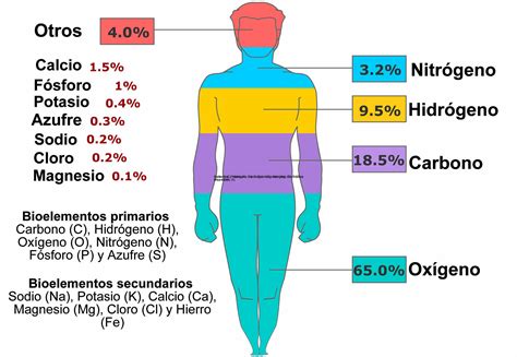 Definición de Bioelementos; importancia, clasificación, y ejemplos