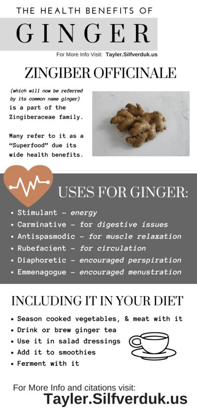 Health Benefits of Ginger - Tayler Silfverduk