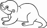 Otter Coloring Pages 40 Free Printables  ColoringAll sketch template