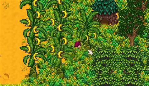 Stardew Valley: The Best Fruit Trees (All 8 Ranked) – FandomSpot