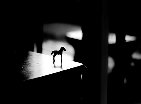 Free Images : silhouette, light, black and white, shadow, darkness, lighting, monochrome ...