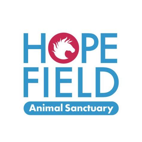 Hopefield Animal Sanctuary: Rescue Centre In Brentwood Essex | Ethical ...