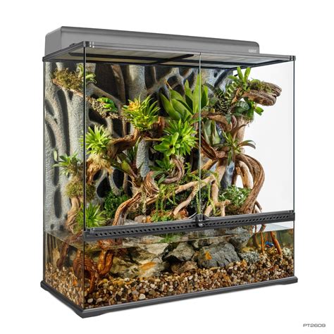 How to set up a bioactive terrarium - Exo Terra