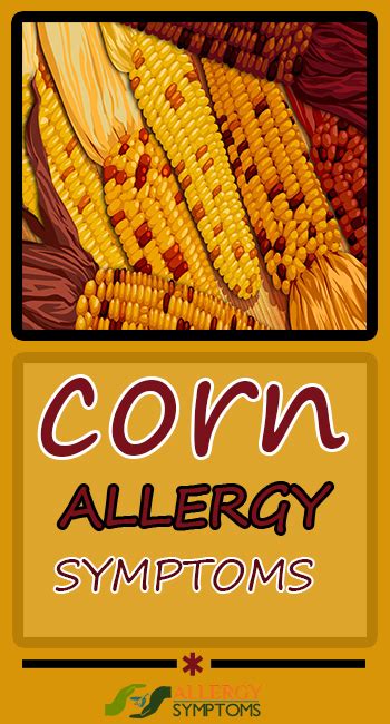 Corn Allergy Symptoms - Allergy Symptoms