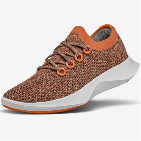 Get the Allbirds Tree Dashers Running Shoes for 20% Off