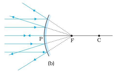 Convex Mirror- Principal Focus, Image Formation, Uses - Kunduz