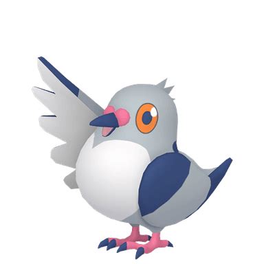 Pidove (Pokémon GO) - Best Moveset, Weakness, Counters, Shiny