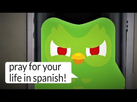 Scary Duolingo Owl - werohmedia