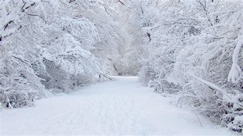 完美的雪高清桌面壁纸：宽屏：高清晰度：全屏