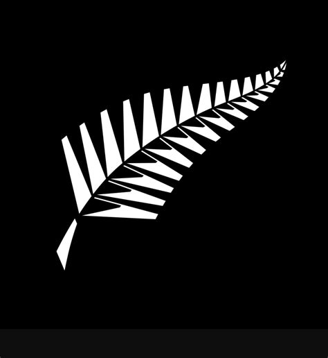 Pin by Peter Phillips on ♡&♡『New Zealand』♡&♡ | Cricket logo, New zealand cricket team, Cricket team