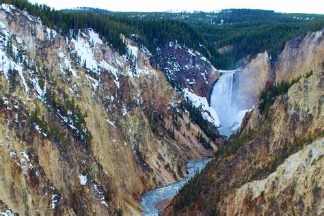 Yellowstone Lower Loop Full-Day Tour 2024 - Jackson