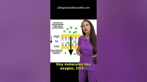 Cell Transport Type Quiz: Facilitated Diffusion vs Active Transport vs Simple Diffusion - YouTube