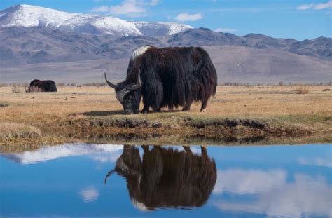 6 Places Where You Can Enjoy Trekking in Ladakh | Conde Nast Traveller | Condé Nast Traveller India