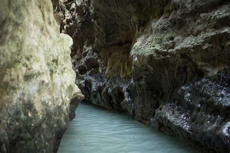 Robber's Cave, Dehradun (Guchhu Pani)| Timings, History, Entry Fee