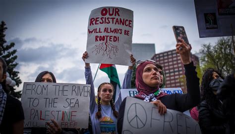 'We Are All The Same': What Pro-Palestine Activism Looks Like In The ...