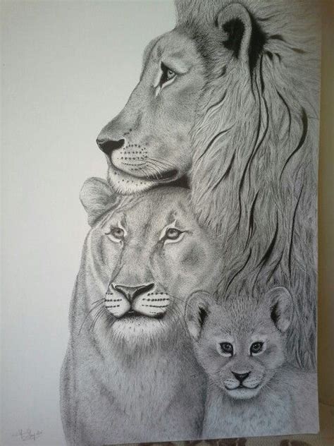 Lion Family Drawing at PaintingValley.com | Explore collection of Lion Family Drawing