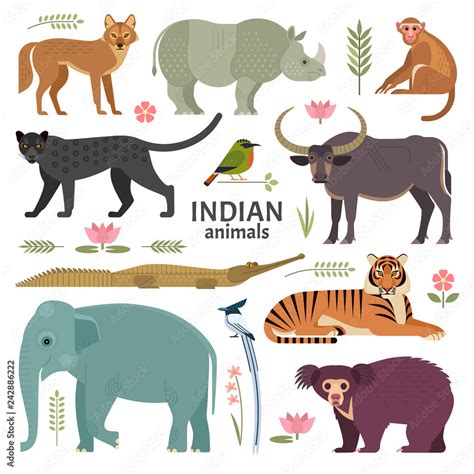 Indian animals. Vector illustration of wildlife of India, including ...