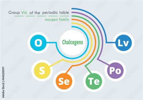 Vecteur Stock Group 16(6A) of the Periodic Table of Elements. Chalcogens. The oxygen family ...