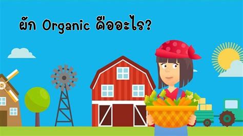 ผักออร์แกนิคคืออะไร? | ผัก organic คืออะไร | ผักออร์แกนิก | สุขกับการกิน - YouTube