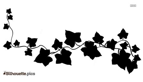 Ivy clipart silhouette, Ivy silhouette Transparent FREE for download on ...