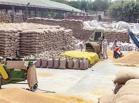 'World's largest grain storage' scheme for food security soon: Report ...