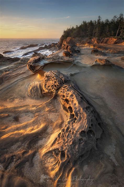 Shore Acres Oregon - Alan Crowe Photography