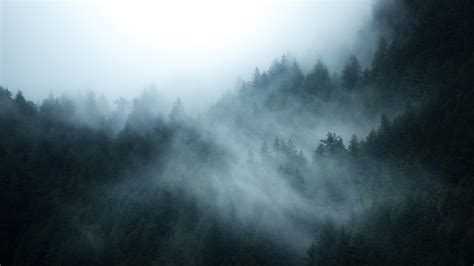 1920x1080 Resolution British Columbia Foggy Forest 1080P Laptop Full HD ...