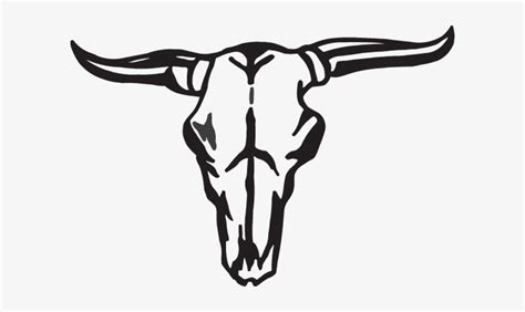 Banner Stock Bull Decal - Steer Skull Clip Art - Free Transparent PNG Download - PNGkey