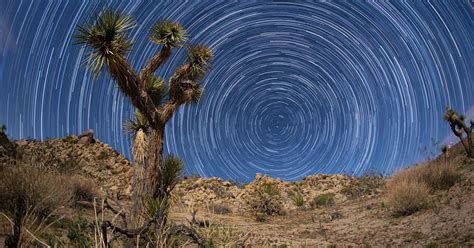 A Star Path Timelapse of the Mojave Desert Shot Beneath a Full Moon ...