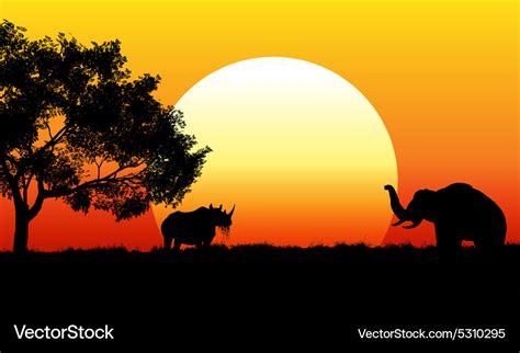 African safari scene at sunset Royalty Free Vector Image