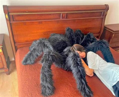 This Giant Tarantula Spider Pillow Makes The Perfect Prank Or Napping Spot