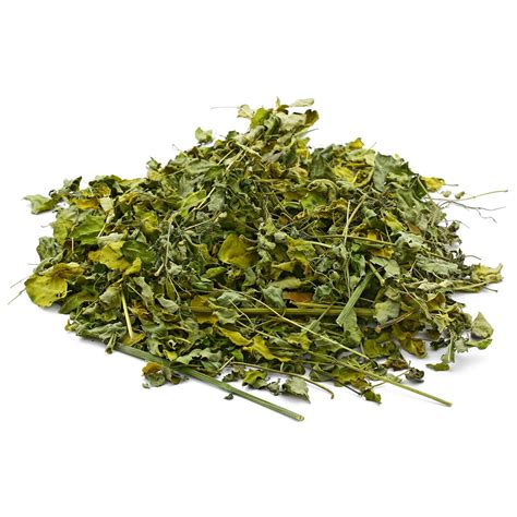 Moringa oleifera leaves - 10 g | Aquasabi - Aquascaping Shop