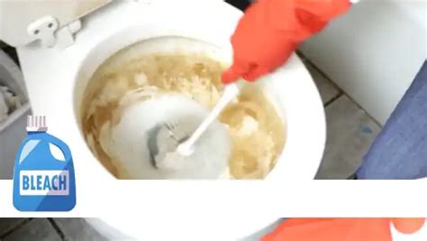 Can You Clean a Toilet With Bleach: 6 Steps [Easy Shortcut]