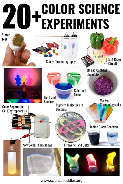 20+ Color Science Experiments | Science Buddies Blog