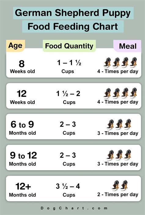 German Shepherd Puppy Food Chart - Feeding Time Pros & Cons