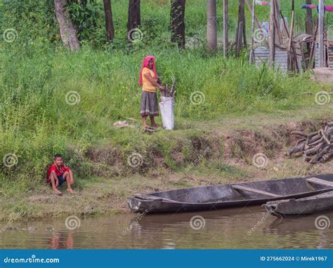 Amazon River editorial stock image. Image of adventure - 275662024