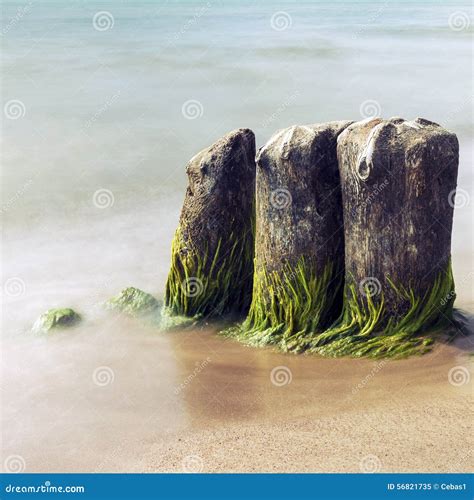 Old Mossy Groynes in the Sea Stock Image - Image of breaker, coastline ...