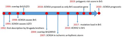 Frontiers | Evaluating the Use of Genetics in Brugada Syndrome Risk ...