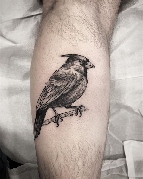 Blackwork cardinal bird tattoo | Cardinal tattoos, Black tattoos, Bird ...