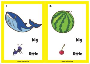 Big, Little Song Flashcards | Maple Leaf Learning Library