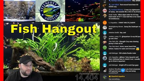 Aquarium Live Stream - Lets hangout and talk Fish - YouTube