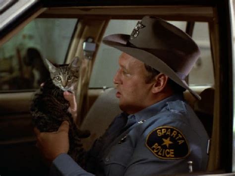 16 best images about In the Heat of the Night on Pinterest | TVs, Adam 12 and Martin o'malley