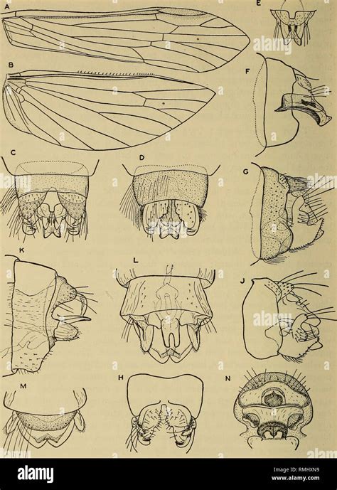 . Annals of the South African Museum = Annale van die Suid-Afrikaanse Museum. Natural history. 5 ...